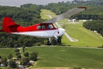 Fatal Flight Training Accident Report