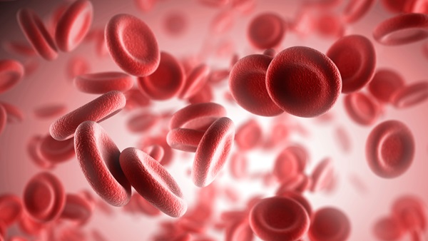 Red Blood Ce